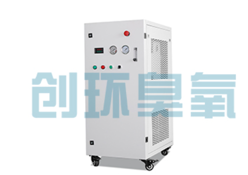 彭水石斑鱼养殖水质调控完整指南：臭氧发生器配置与操作步骤
